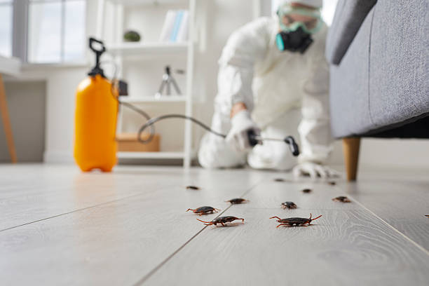 Commercial Rodent Management in Millers Creek